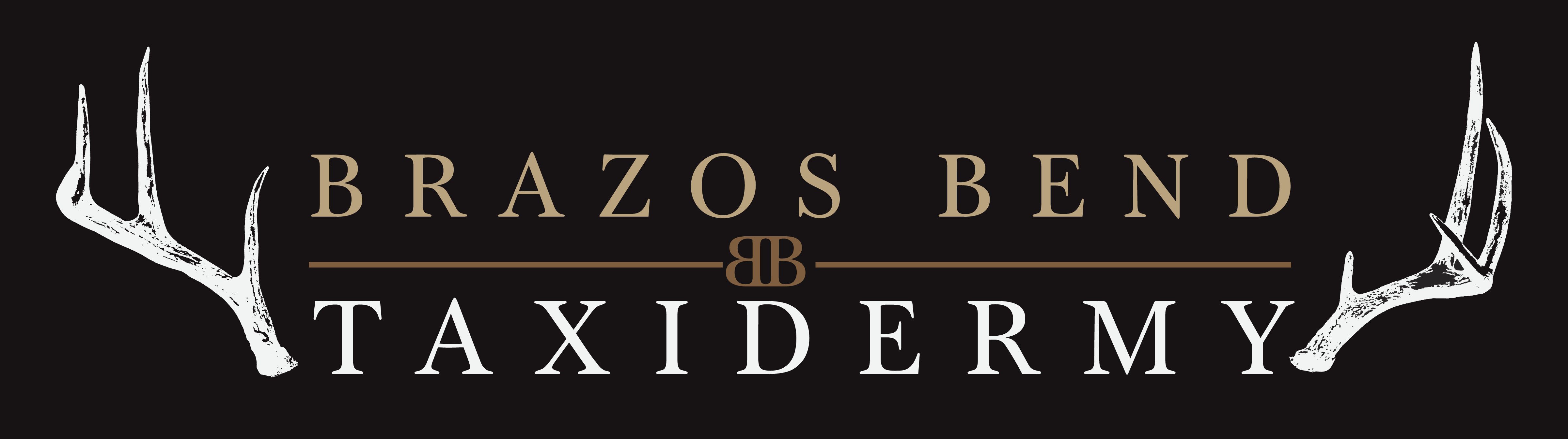  Wildlife Artistry by Jason Alderete 